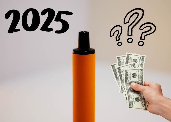 Factores para que un vaper sea considerado el mejor